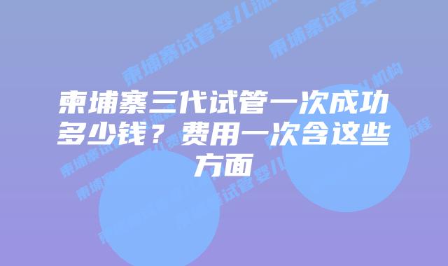 柬埔寨三代试管一次成功多少钱？费用一次含这些方面