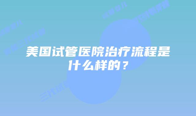 美国试管医院治疗流程是什么样的?