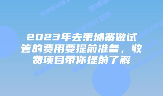 2023年去柬埔寨做试管的费用要提前准备，收费项目带你提前了解