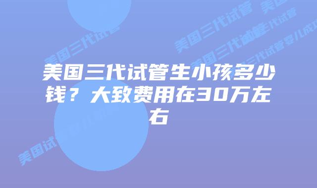 美国三代试管生小孩多少钱?大致费用在30万左右