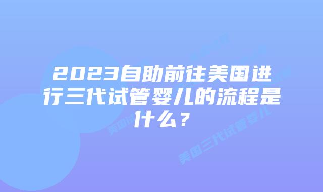 2023自助前往美国进行三代试管婴儿的流程是什么?