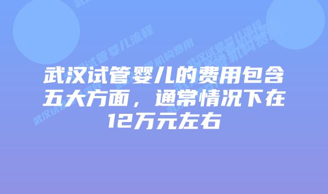 武汉试管婴儿的费用包含五大方面，通常情况下在12万元左右