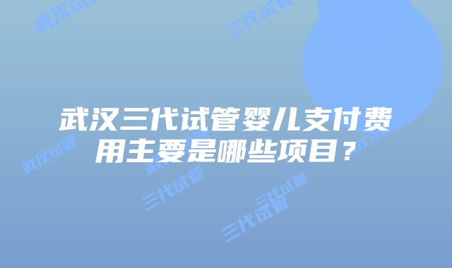 武汉三代试管婴儿支付费用主要是哪些项目?