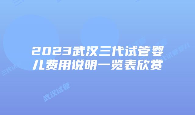2023武汉三代试管婴儿费用说明一览表欣赏