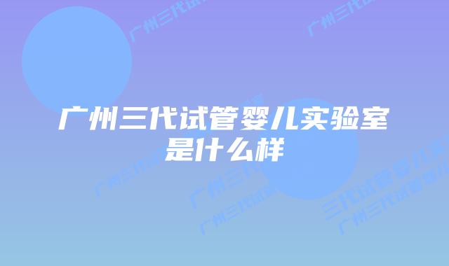 广州三代试管婴儿实验室是什么样