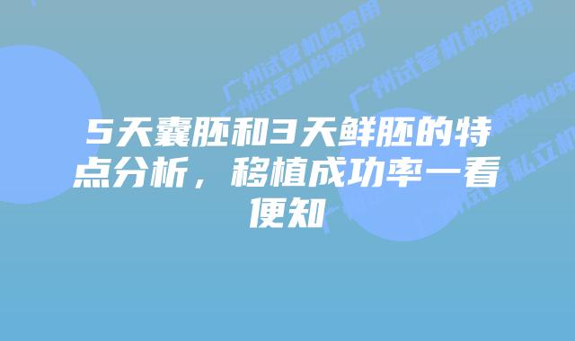 5天囊胚和3天鲜胚的特点分析,移植成功率一看便知