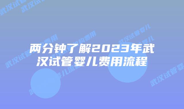 两分钟了解2023年武汉试管婴儿费用流程