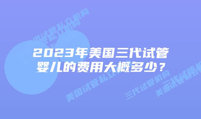 2023年美国三代试管婴儿的费用大概多少?