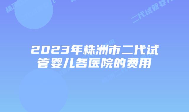 2023年株洲市二代试管婴儿各医院的费用