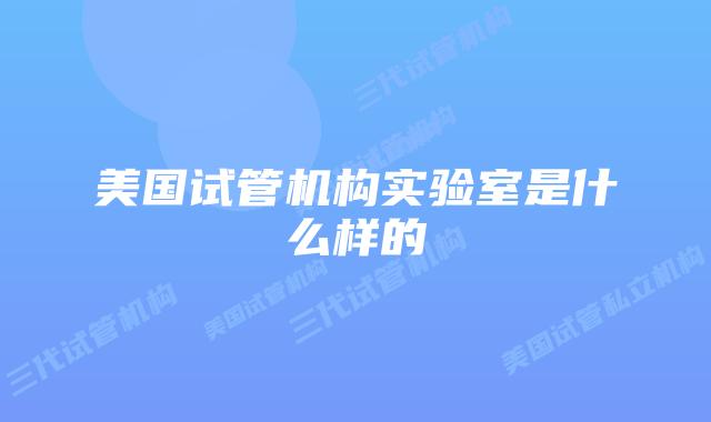 美国试管机构实验室是什么样的