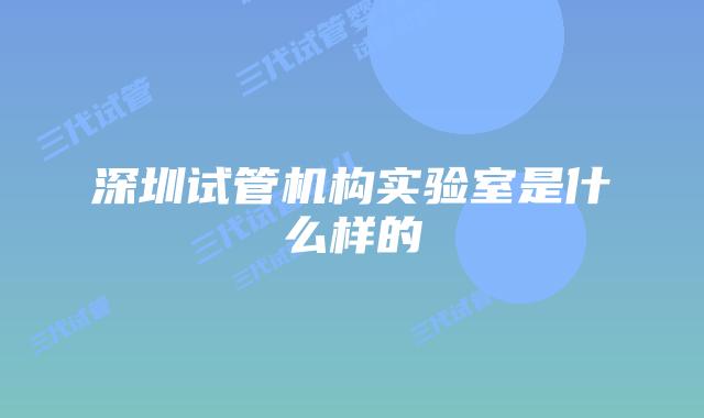 深圳试管机构实验室是什么样的