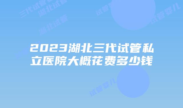 2023湖北三代试管私立医院大概花费多少钱