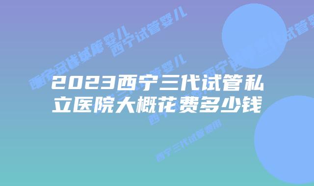 2023西宁三代试管私立医院大概花费多少钱