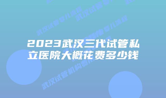 2023武汉三代试管私立医院大概花费多少钱