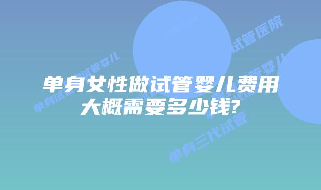 单身女性做试管婴儿费用大概需要多少钱?