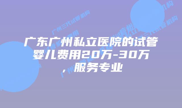 广东广州私立医院的试管婴儿费用20万-30万，服务专业