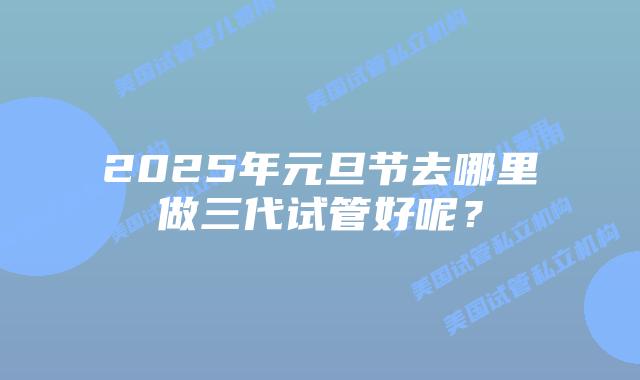 2025年元旦节去哪里做三代试管好呢？