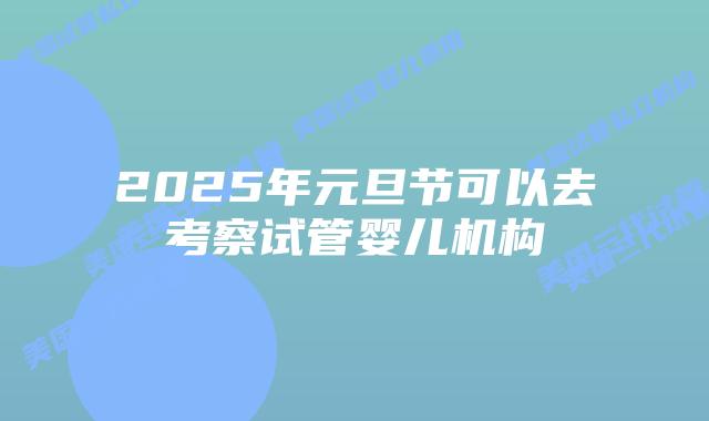 2025年元旦节可以去考察试管婴儿机构