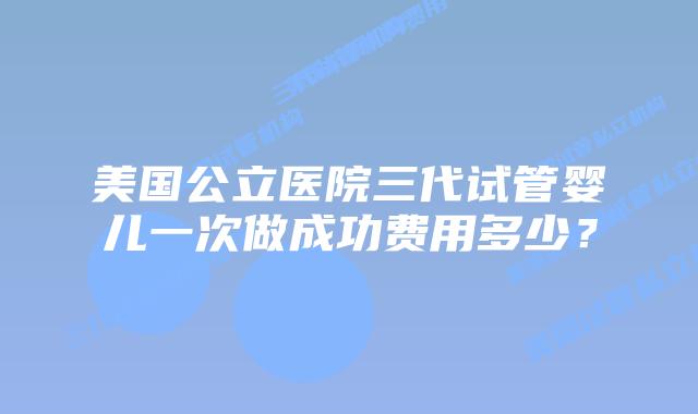 美国公立医院三代试管婴儿一次做成功费用多少?