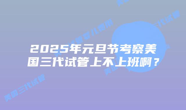 2025年元旦节考察美国三代试管上不上班啊?