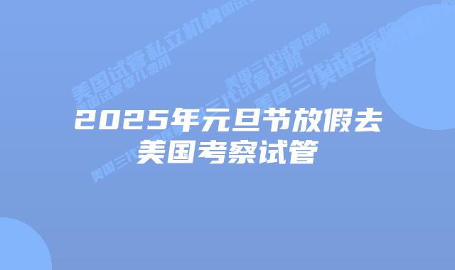 2025年元旦节放假去美国考察试管