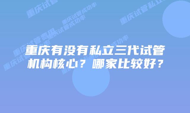 重庆有没有私立三代试管机构核心？哪家比较好？