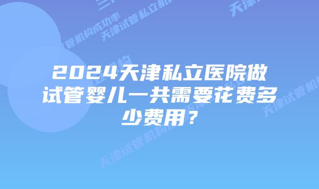 2024天津私立医院做试管婴儿一共需要花费多少费用？