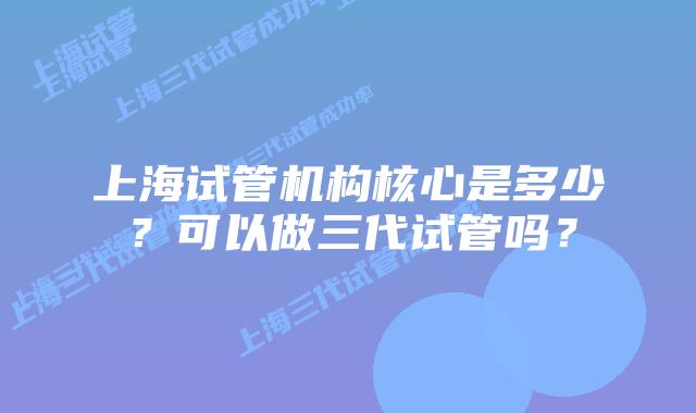 上海试管机构核心是多少？可以做三代试管吗？