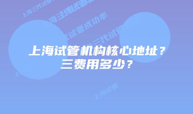 上海试管机构核心地址？三费用多少？