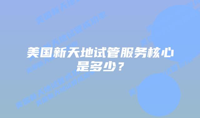 美国新天地试管服务核心是多少？