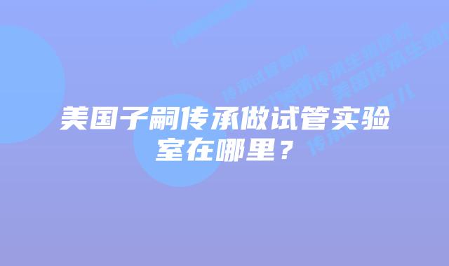 美国子嗣传承做试管实验室在哪里？