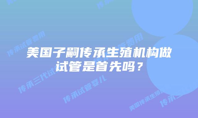 美国子嗣传承生殖机构做试管是首先吗？
