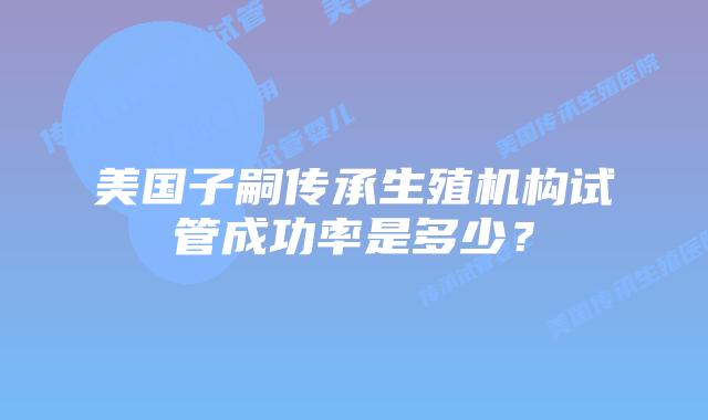 美国子嗣传承生殖机构试管成功率是多少？