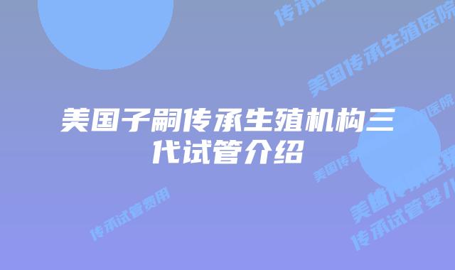 美国子嗣传承生殖机构三代试管介绍