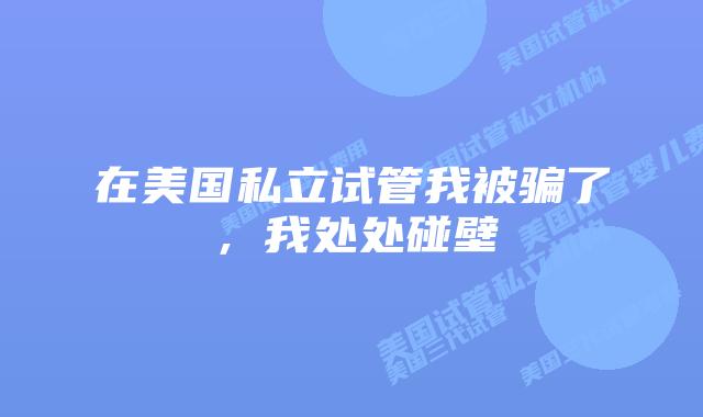 在美国私立试管我被骗了，我处处碰壁