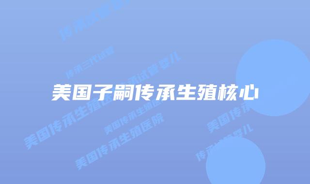 美国子嗣传承生殖核心