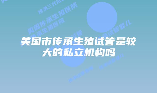 美国市传承生殖试管是较大的私立机构吗