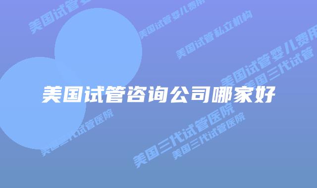 美国试管咨询公司哪家好