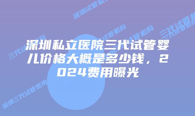 深圳私立医院三代试管婴儿价格大概是多少钱，2024费用曝光