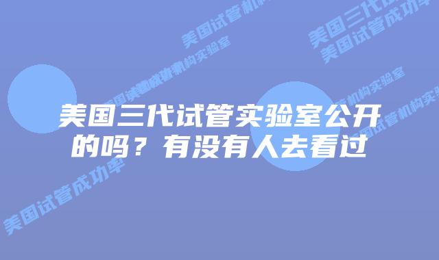 美国三代试管实验室公开的吗？有没有人去看过