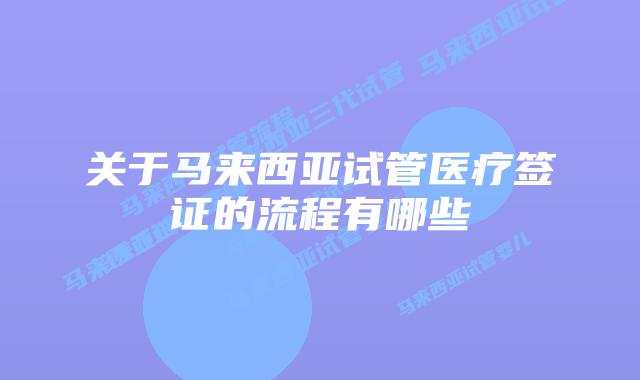 关于马来西亚试管医疗签证的流程有哪些