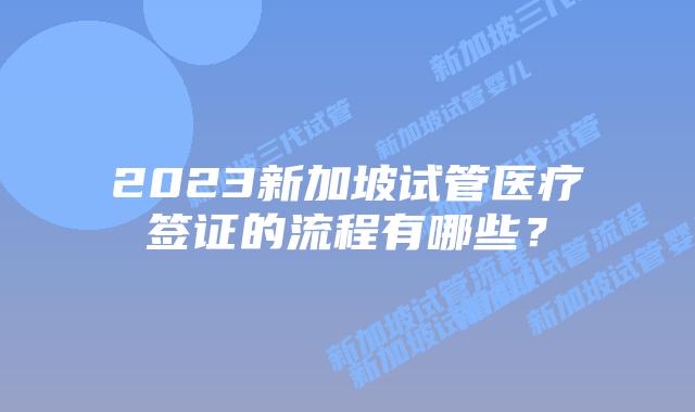2023新加坡试管医疗签证的流程有哪些?