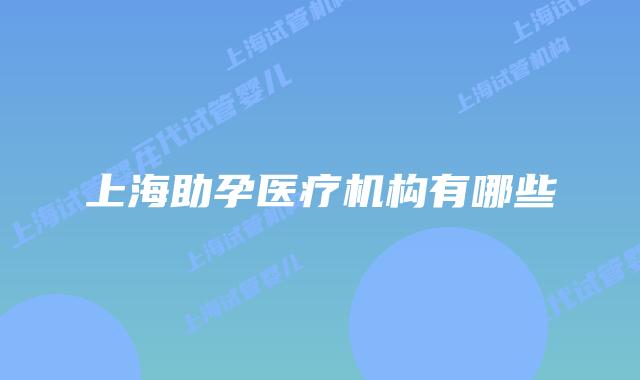 上海助孕医疗机构有哪些