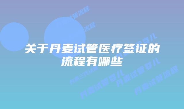 关于丹麦试管医疗签证的流程有哪些