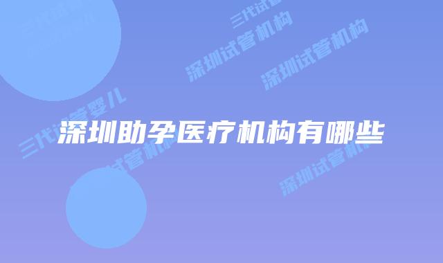 深圳助孕医疗机构有哪些