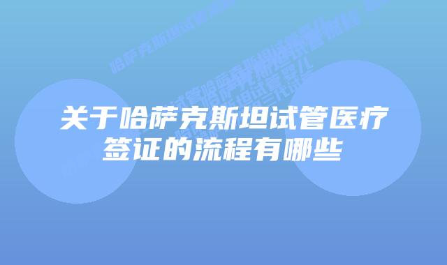 关于哈萨克斯坦试管医疗签证的流程有哪些