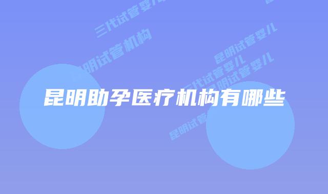 昆明助孕医疗机构有哪些