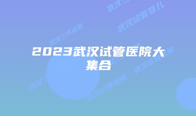 2023武汉试管医院大集合