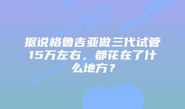 据说格鲁吉亚做三代试管15万左右，都花在了什么地方？