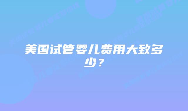 美国试管婴儿费用大致多少?